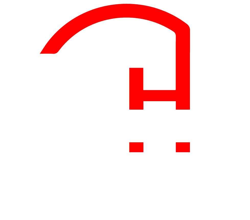 Logo de dhalenicaconsulting